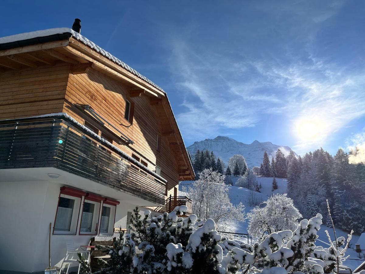 Chalet Viola Apartment Wengen Exterior photo