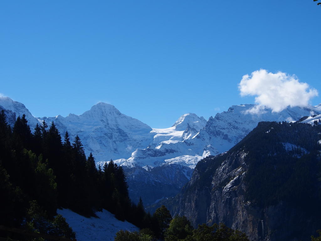 Chalet Viola Wengen Exterior photo