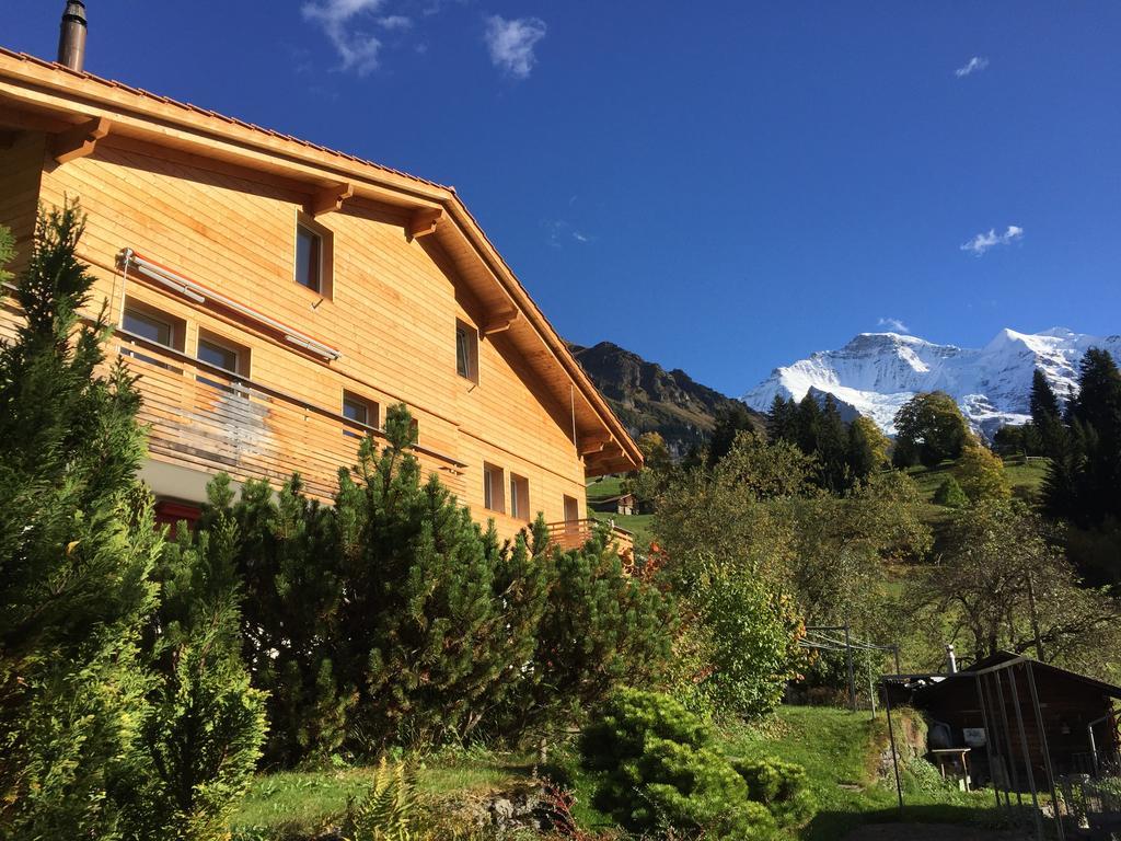 Chalet Viola Apartment Wengen Exterior photo